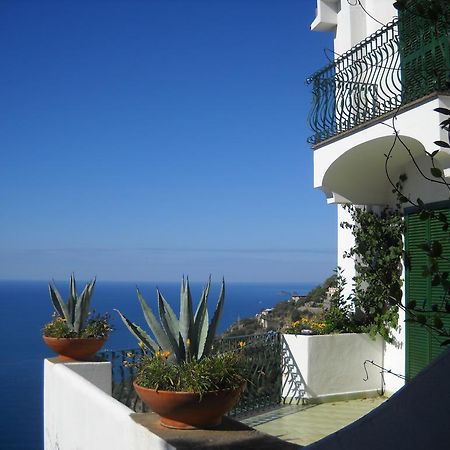 Le Cicale - Apartments Conca dei Marini Buitenkant foto